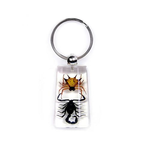Real Black Scorpion Keychain and Spider Spiny Real Nature Gift Jewelry With Box