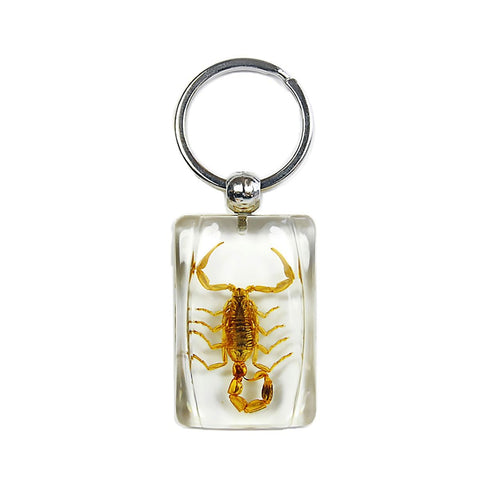 Real Bark Scorpion Keychain Rectangular Shaped Keychain Real Nature Gifts