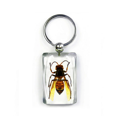 Real Wasp Keychain Rectangular Shaped Keychain Real Nature Gifts