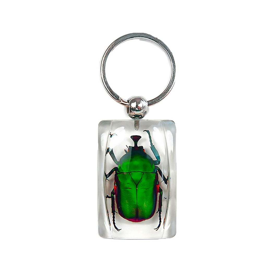 Real June Bug Keychain Rectangular Shaped Keychain Real Nature Gifts