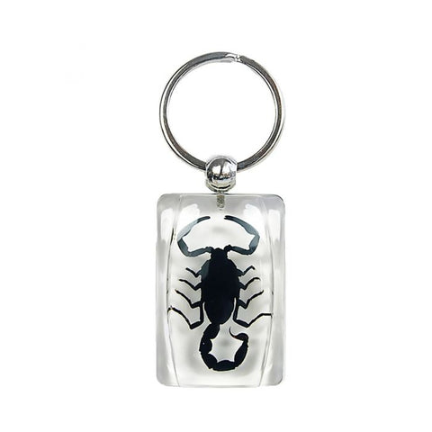 Real Black Scorpion Keychain Clear Real Nature Gift With Box