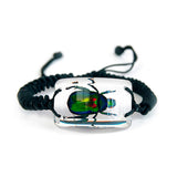 Real June Bug Beetle Bracelet Clear Real Nature Gift With Box