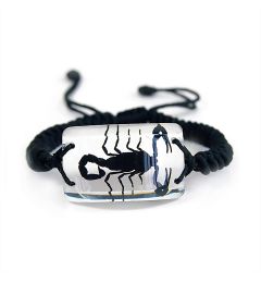 Real Black Scorpion Bracelet Rectangle Shaped Real Nature Gift With Box