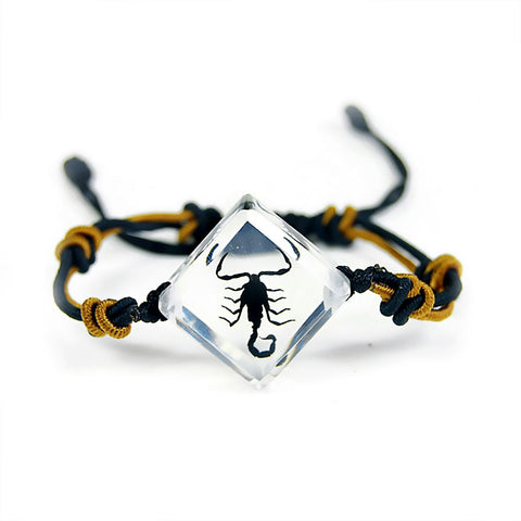 Real Black Scorpion Bracelet In Clear Resin Diamond Shape Real Nature Gifts