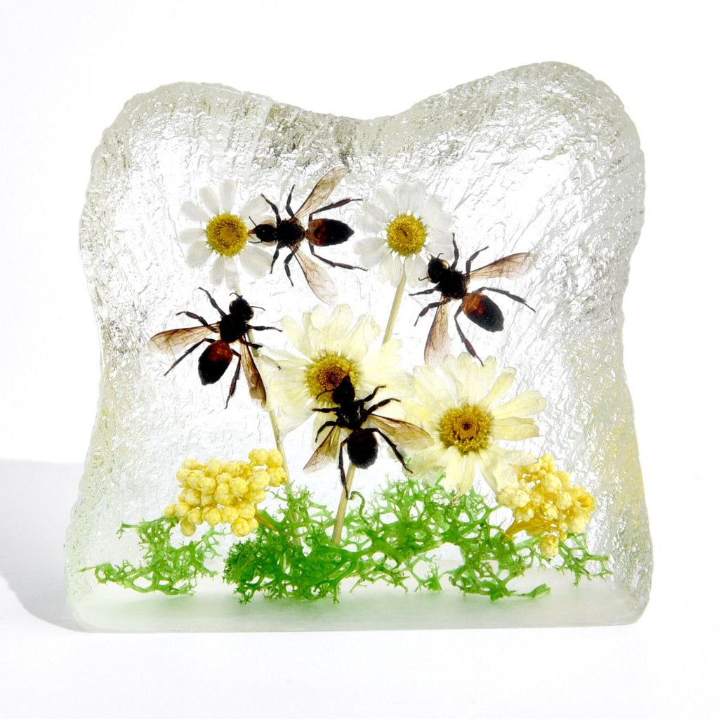 Real Honeybee in Square Resin Paperweight Desktop Decoration Real Nature Gifts