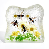 Real Honeybee in Square Resin Paperweight Desktop Decoration Real Nature Gifts