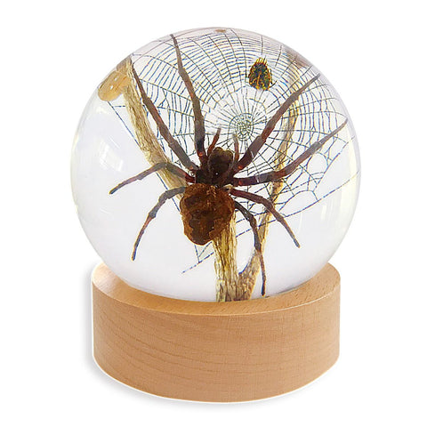 Real Spider Globe with Wood Base w/ Sticks – Clear Resin Display (3.1" Circumference) | Real Nature Gift (Copy)