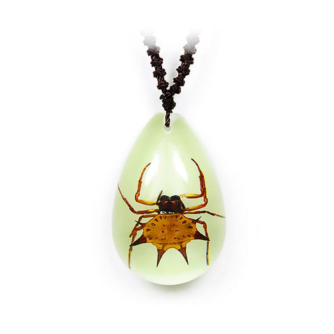 Real Spider Necklace Teardrop Shaped Glow In The Dark Spiny back Spider Real Nature Gift