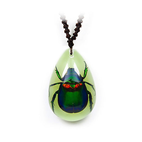 Real June Bug Beetle Necklace Glow in the Dark Real Nature Gift With Box