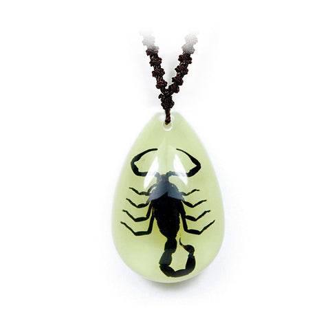 Real Black Scorpion Necklace Glow In the Dark Teardrop Real Nature Gift