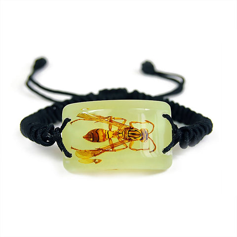 Real Yellow Jacket Bracelet Rectangle Shaped Glow in the Dark Real Nature Gift