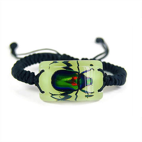 Real June Bug Bracelet Glow In The Dark Real Nature Gift